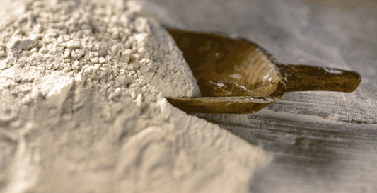 White Sonora Wheat: What is it and how to use it
