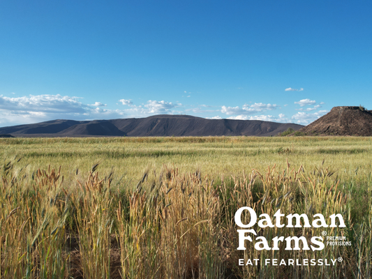 Oatman Farms ROC® White Sonora & Mesquite Pancake & Waffle Mix