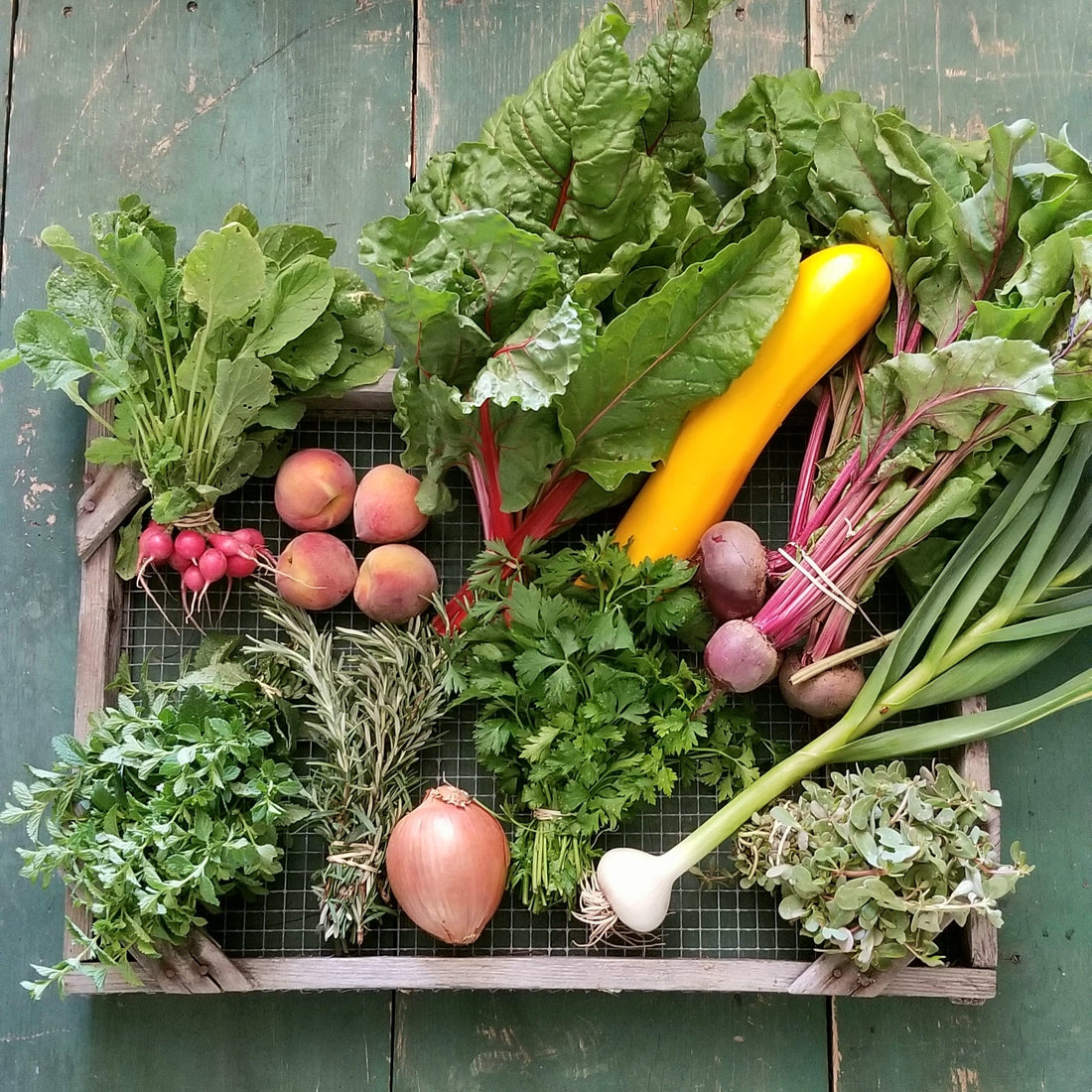 Farm Boxes with Rhiba Farms