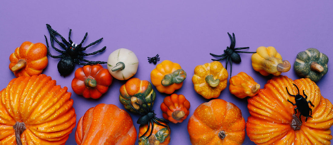 Halloween Treat Ideas