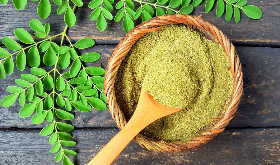 The Health Benefits of Moringa Powder