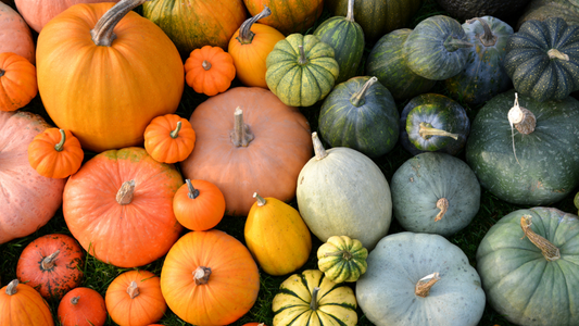 Pumpkin treats to make this fall