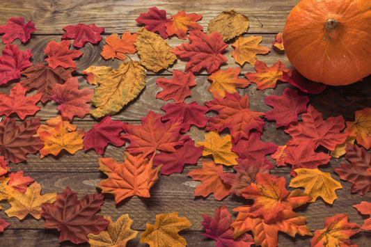Fall Color Leaves and Pumpkin on Wood Table