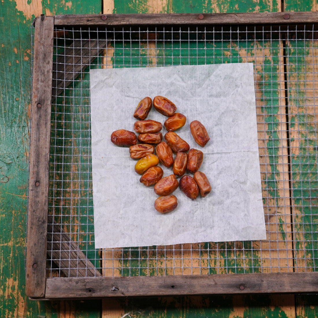 Halawi Dates 12 oz Sphinx Date Co.